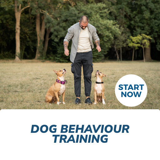 Dog Behaviour Training Online Certificate Course