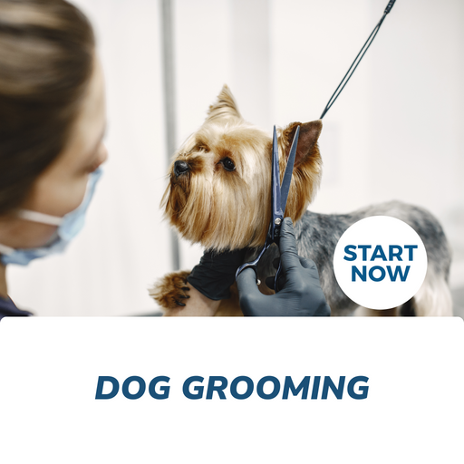 Dog Grooming Online Certificate Course