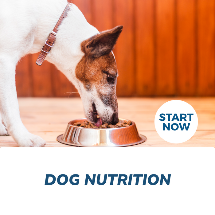 Dog Nutrition Online Certificate Course
