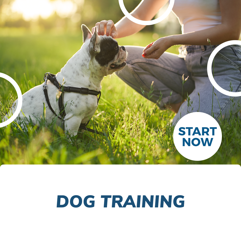 Animal Courses — Courses For Success