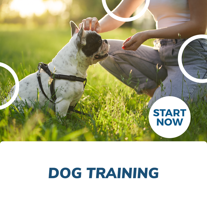 Dog Training Online Certificate Course