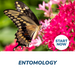 Entomology Online Certificate Course
