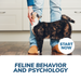 Feline Behavior and Psychology Online Certificate Course