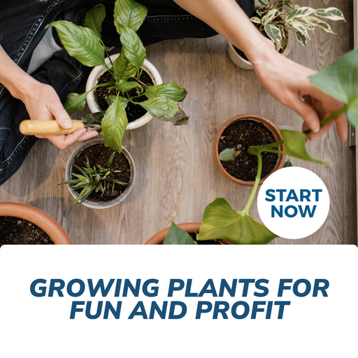 Gardening Courses — Courses For Success