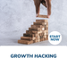 Growth Hacking Online Certificate Course
