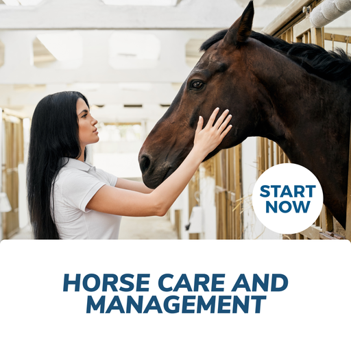 Horse Care and Management Online Certificate Course