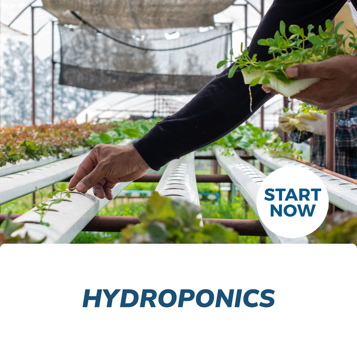 Hydroponics Online Certificate Course