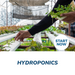 Hydroponics Online Certificate Course