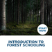Introduction to Forest Schooling Online Certificate Course