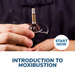 Introduction to Moxibustion Online Certificate Course