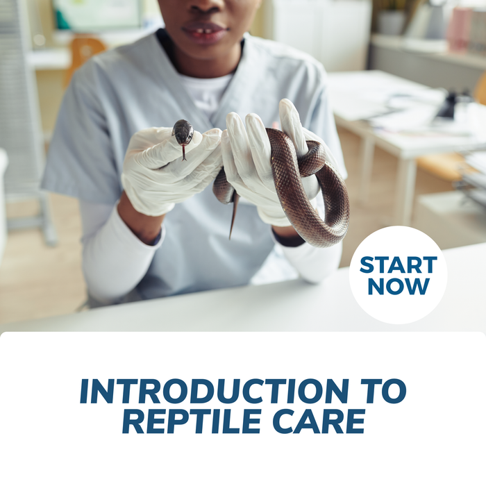 Introduction to Reptile Care Online Certificate Course