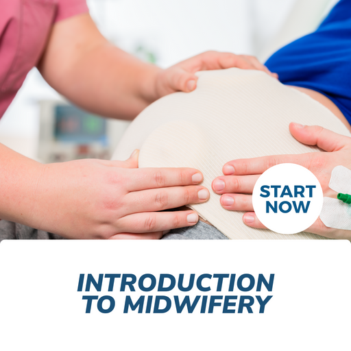 Introduction to Midwifery Online Certificate Course