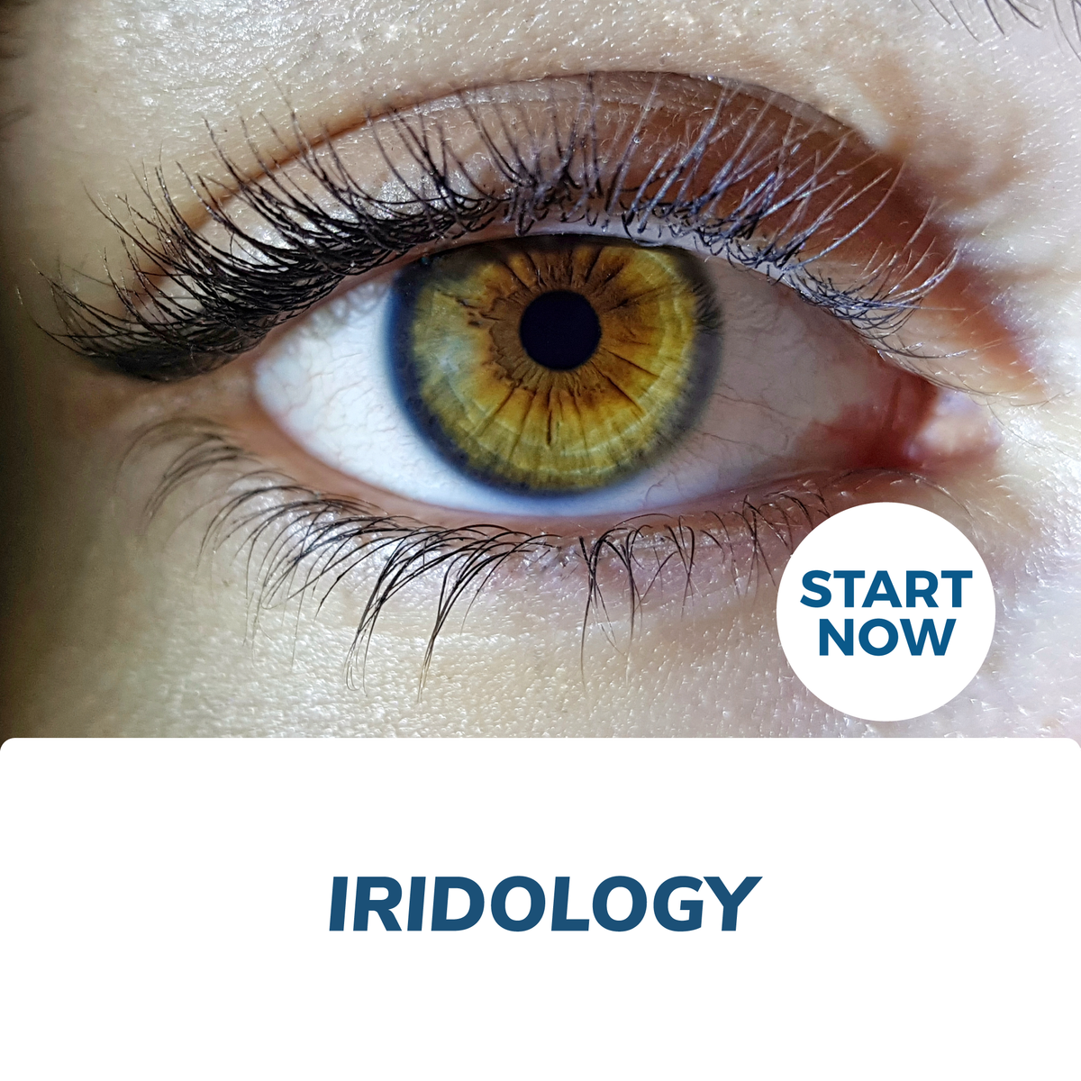 Iridology Certification Course Online — Courses For Success