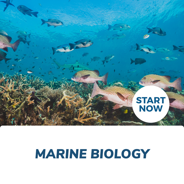 Marine Biology Online Certificate Course