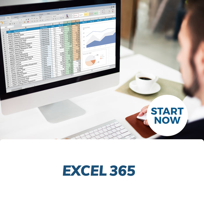Microsoft Excel 365 Online Certificate Course