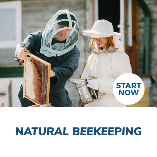 Natural Beekeeping Online Certificate Course
