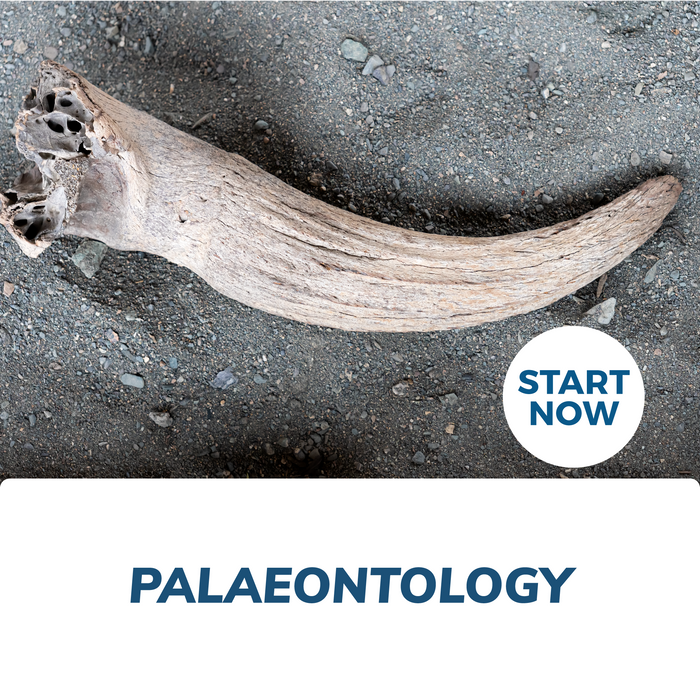 Palaeontology Online Certificate Course