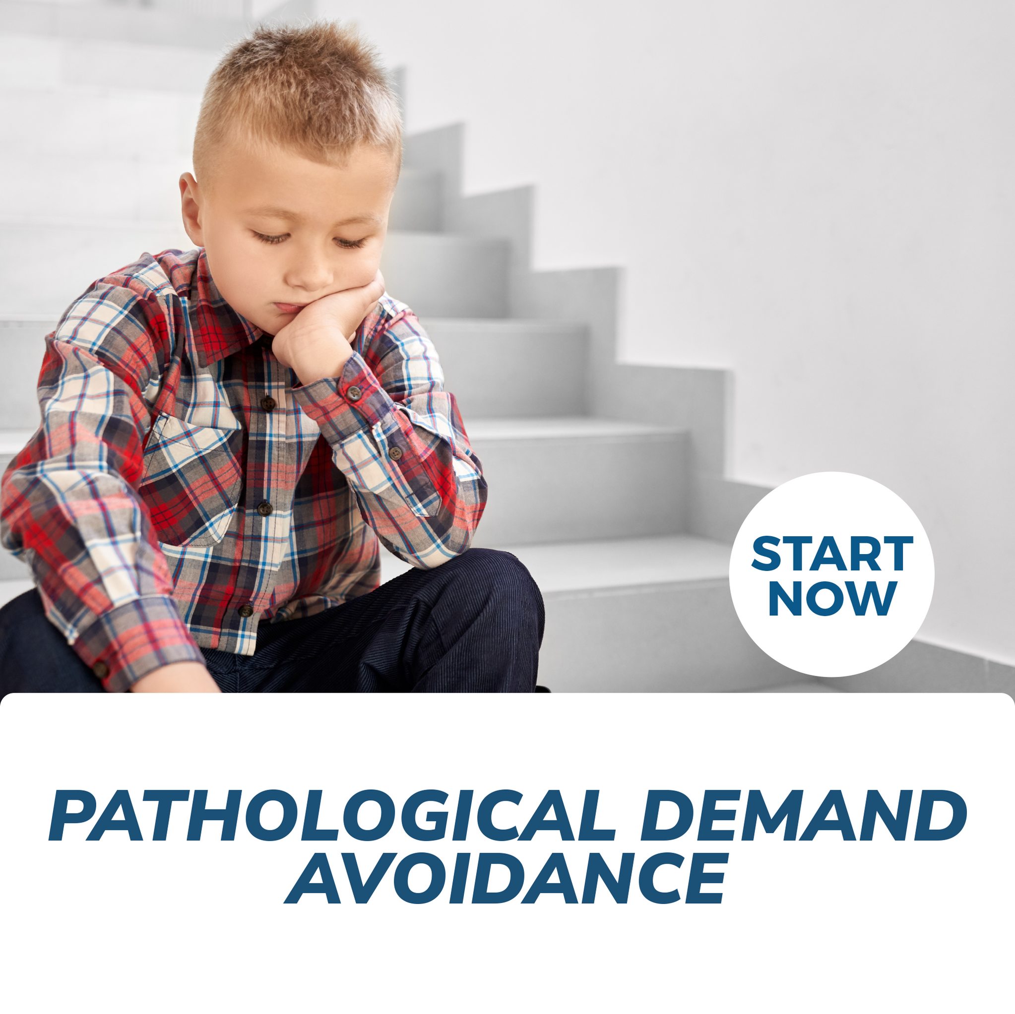 Pathological Demand Avoidance Training