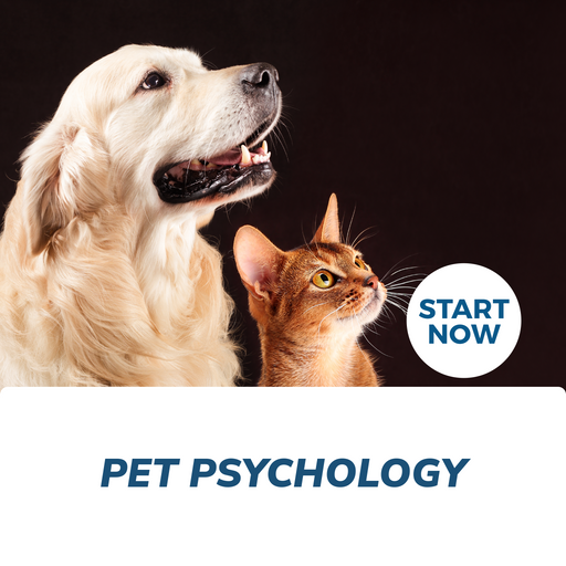 Pet Psychology Online Certificate Course