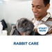 Rabbit Care Online Certificate Course