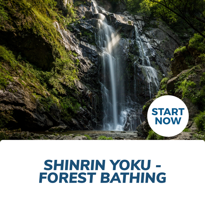 Shinrin Yoku - Forest Bathing Online Certificate Course