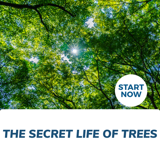 The Secret Life of Trees Online Certificate Course