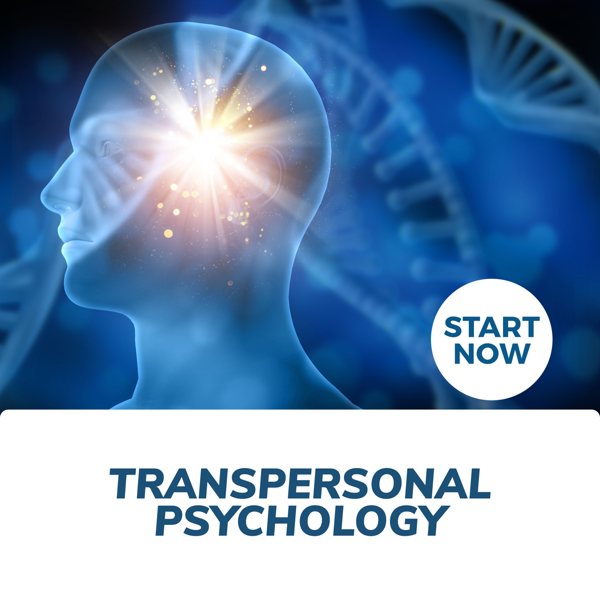 Transpersonal Psychology Training Course — Courses For Success