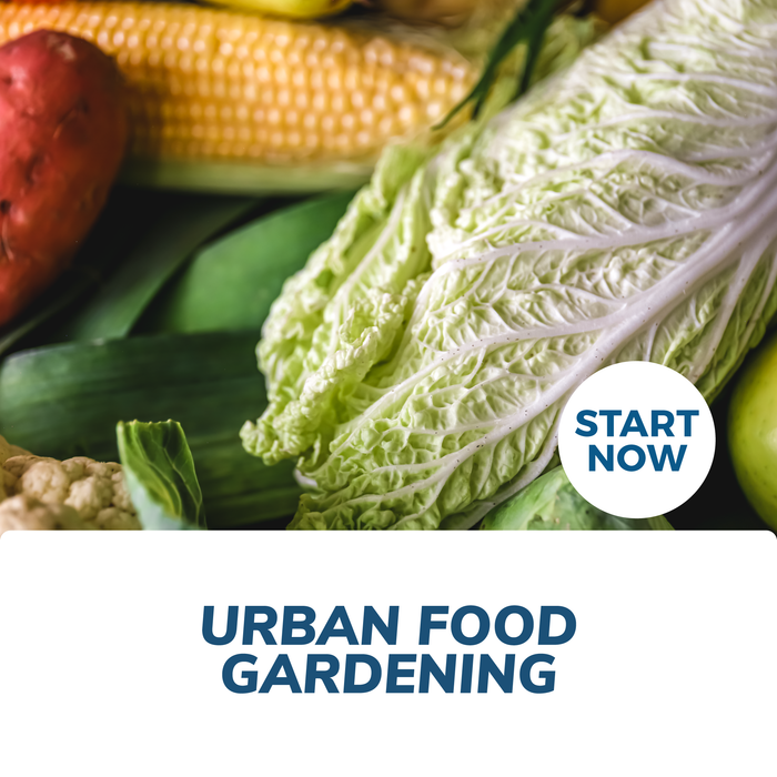 Urban Food Gardening Online Certificate Course