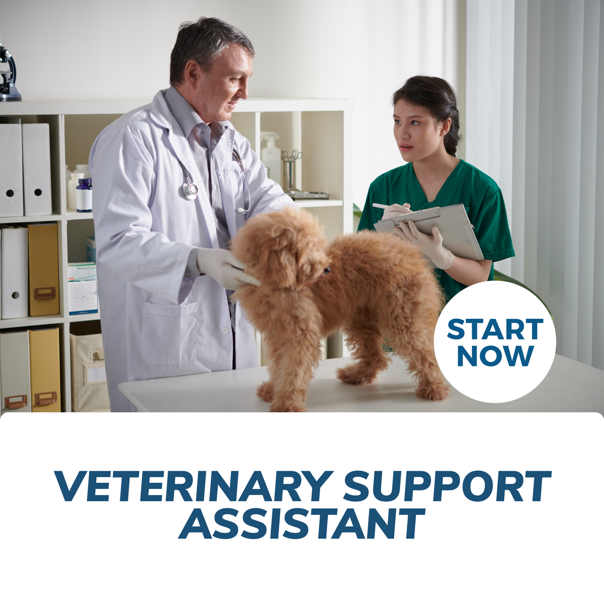 Veterinary Support Assistant Certification Course — Courses For Success
