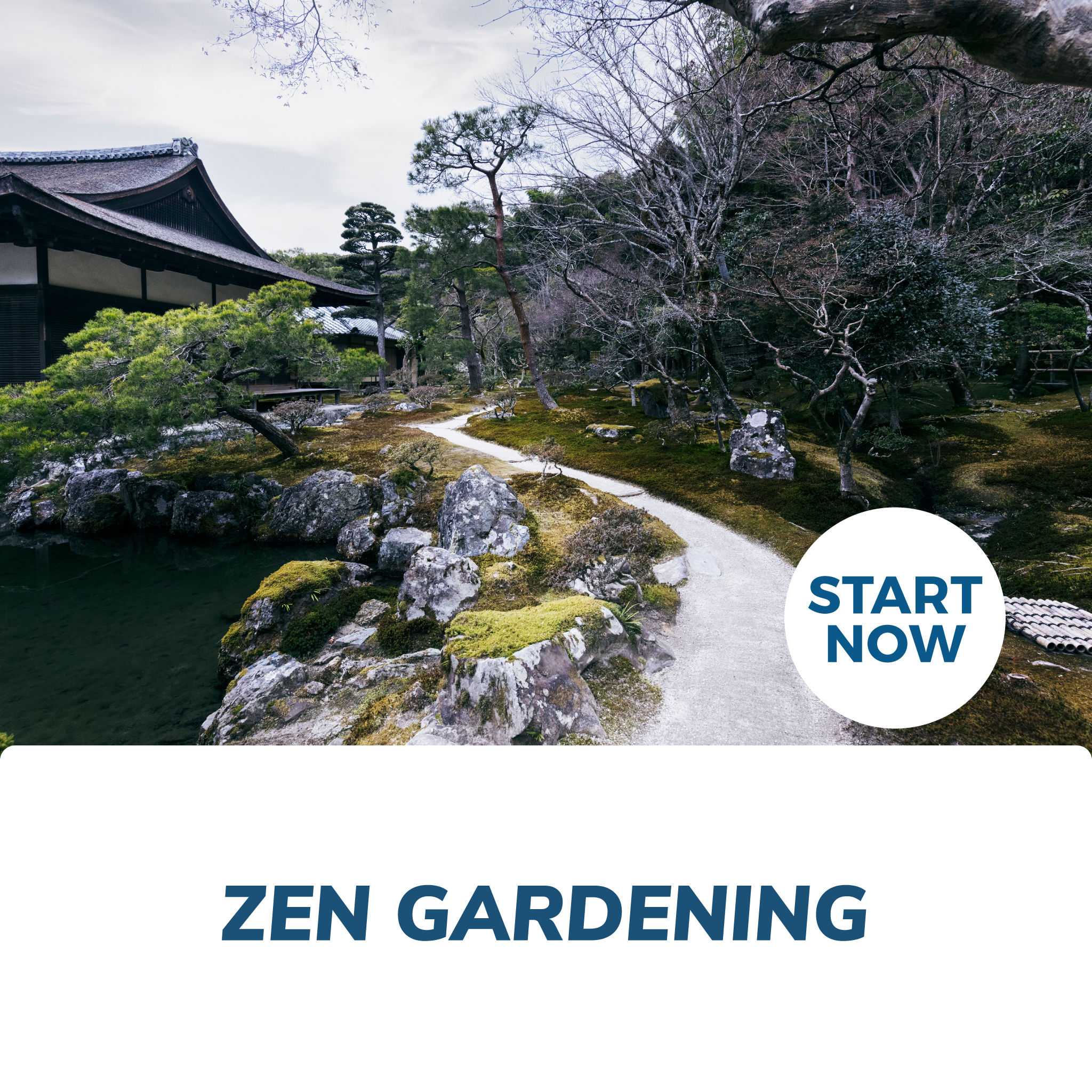 How to get Started with a Zen Garden