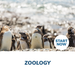 Zoology Online Certificate Course