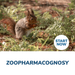 Zoopharmacognosy Online Certificate Course