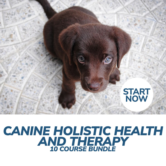 Ultimate Canine Holistic Health and Therapy Online Bundle, 10 Certificate Courses