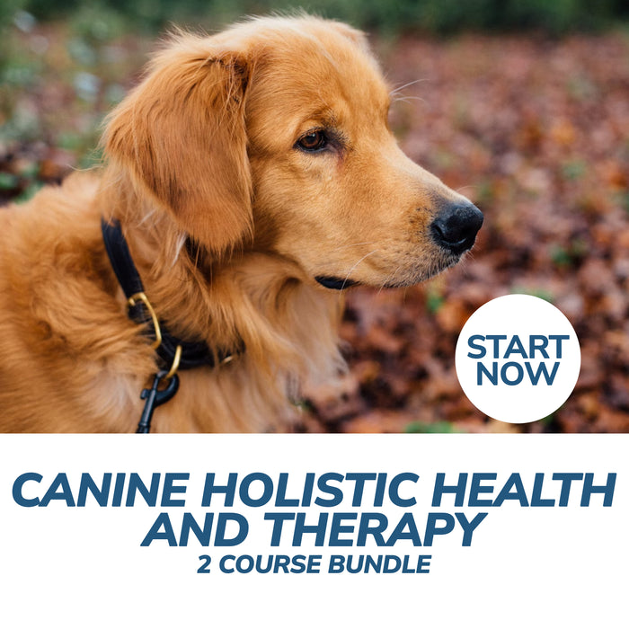 Canine Holistic Health and Therapy Online Bundle, 2 Certificate Courses