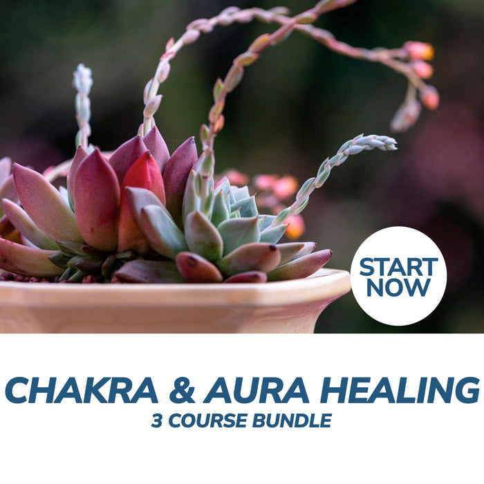 Chakra and Aura Healing Online Bundle, 3 Certificate Courses