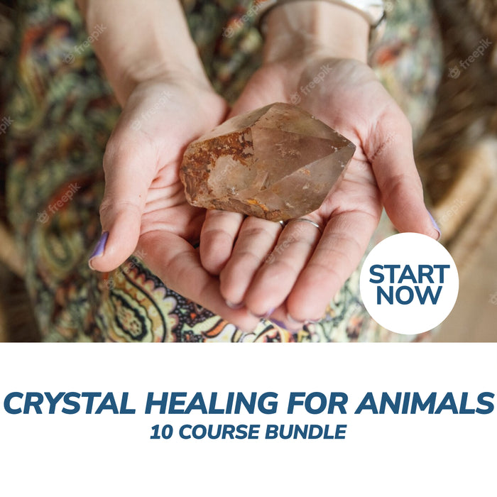 Ultimate Crystal Healing for Animals Online Bundle, 10 Certificate Courses