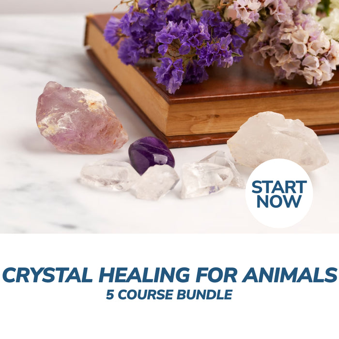 Crystal Healing for Animals Online Bundle, 5 Certificate Courses