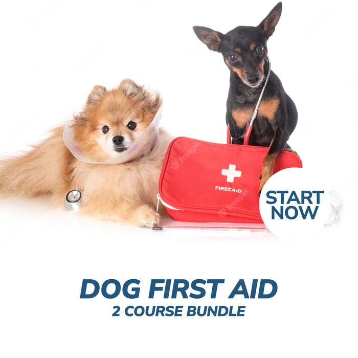 Dog First Aid Online Bundle, 2 Certificate Courses