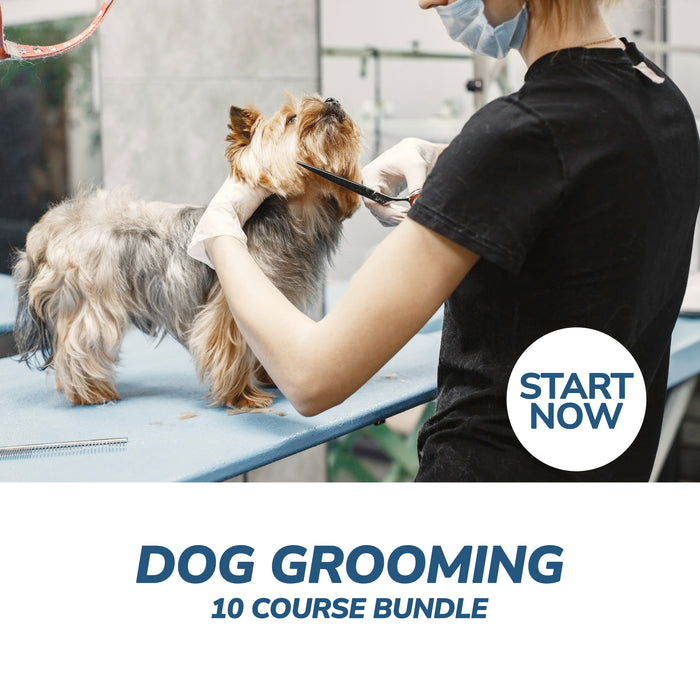 Ultimate Dog Grooming Online Bundle, 10 Certificate Courses