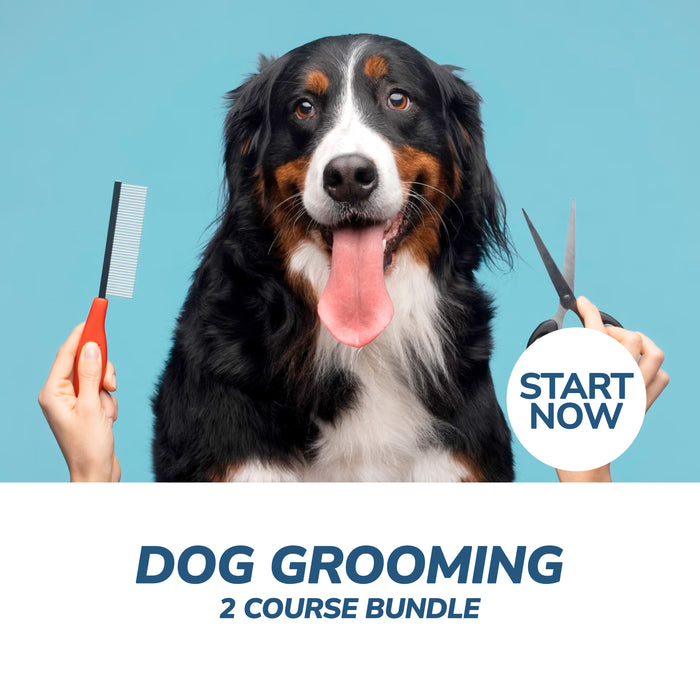 Dog Grooming Professional Online Bundle, 2 Certificate Courses