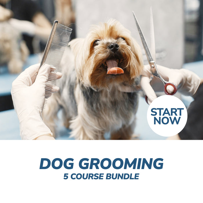 Dog Grooming Professional Online Bundle, 5 Certificate Courses