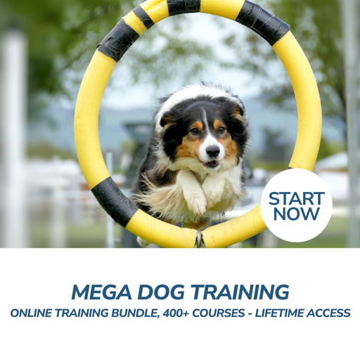 Mega Dog Training Online Training Bundle, 400+ Courses - Lifetime Access