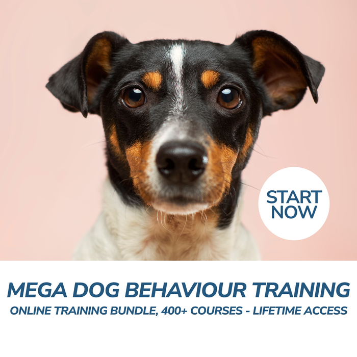 Mega Dog Behaviour Training Online Training Bundle, 400+ Courses - Lifetime Access