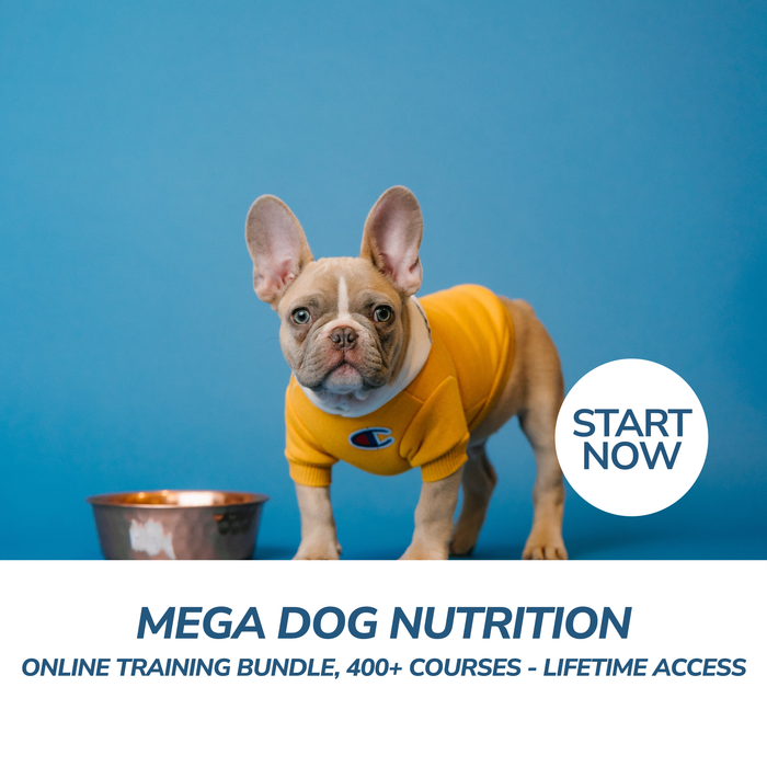 Mega Dog Nutrition Online Training Bundle, 400+ Courses - Lifetime Access