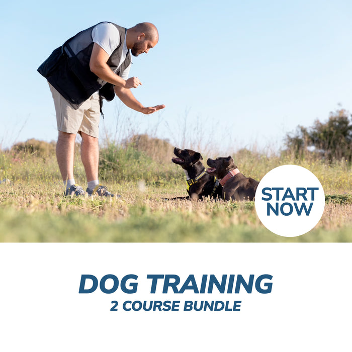Dog Training Online Bundle, 2 Certificate Courses