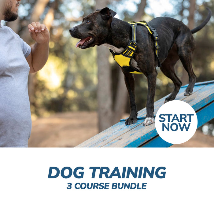 Dog Training Online Bundle, 3 Certificate Courses