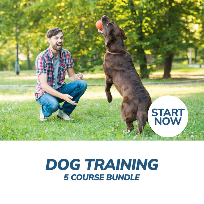 Dog Training Online Bundle, 5 Certificate Courses