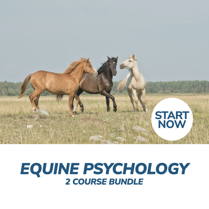 Equine Psychology Online Bundle, 2 Certificate Courses