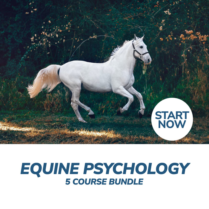 Equine Psychology Online Bundle, 5 Certificate Courses