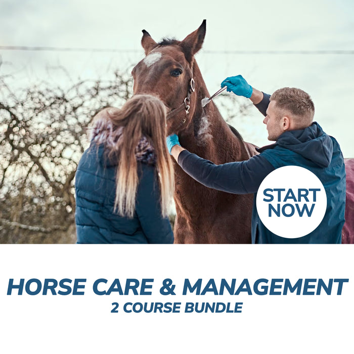 Horse Care and Management Online Bundle, 2 Certificate Courses